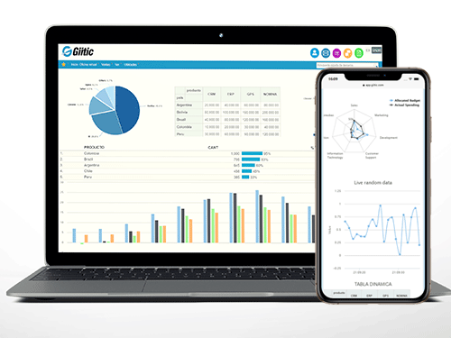 Software para la gestión de Trade Marketing - BI