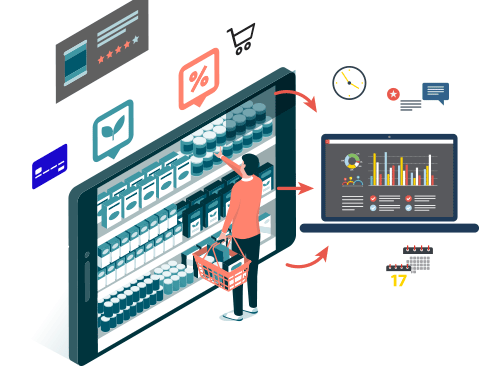 Software for the management of Trade Marketing - Classification of the information